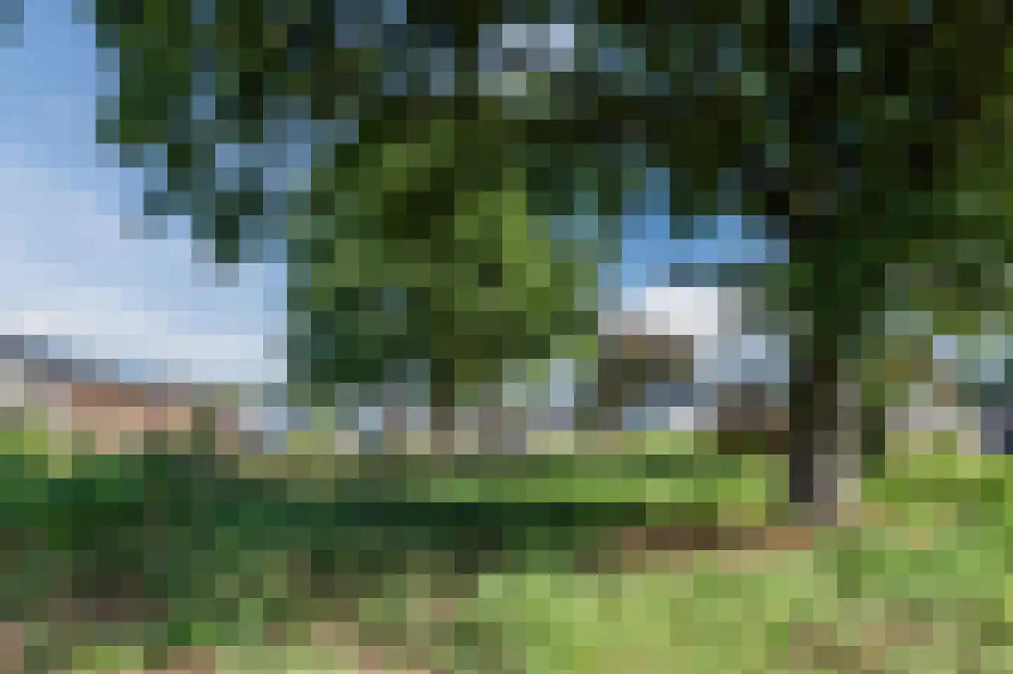 Zilverschoon 38 Veldhoven thumbnail 60