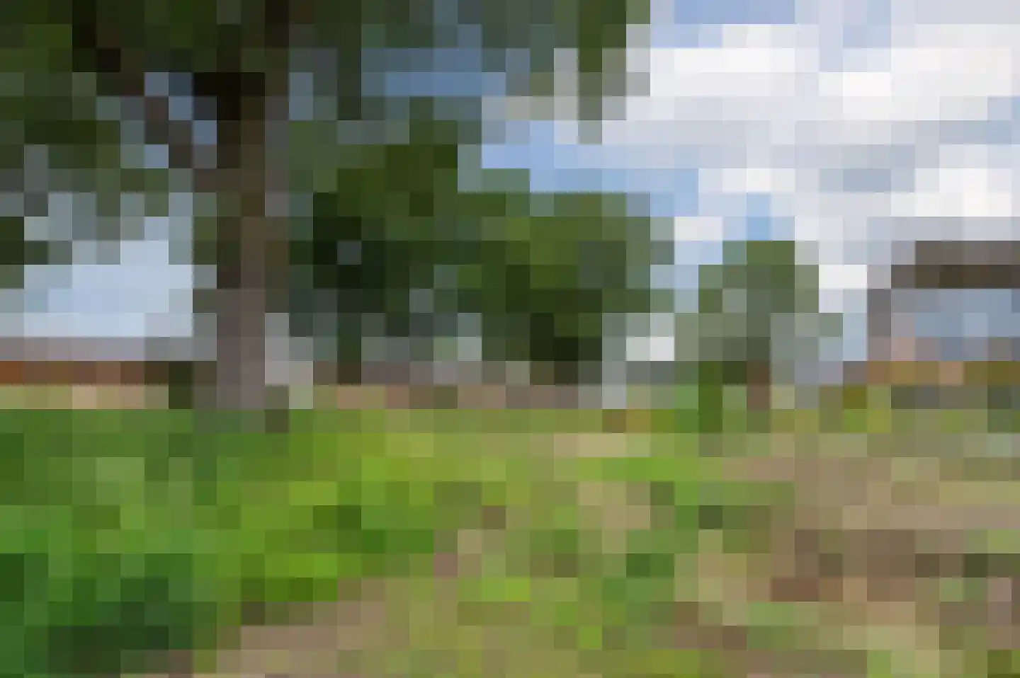Zilverschoon 38 Veldhoven thumbnail 61