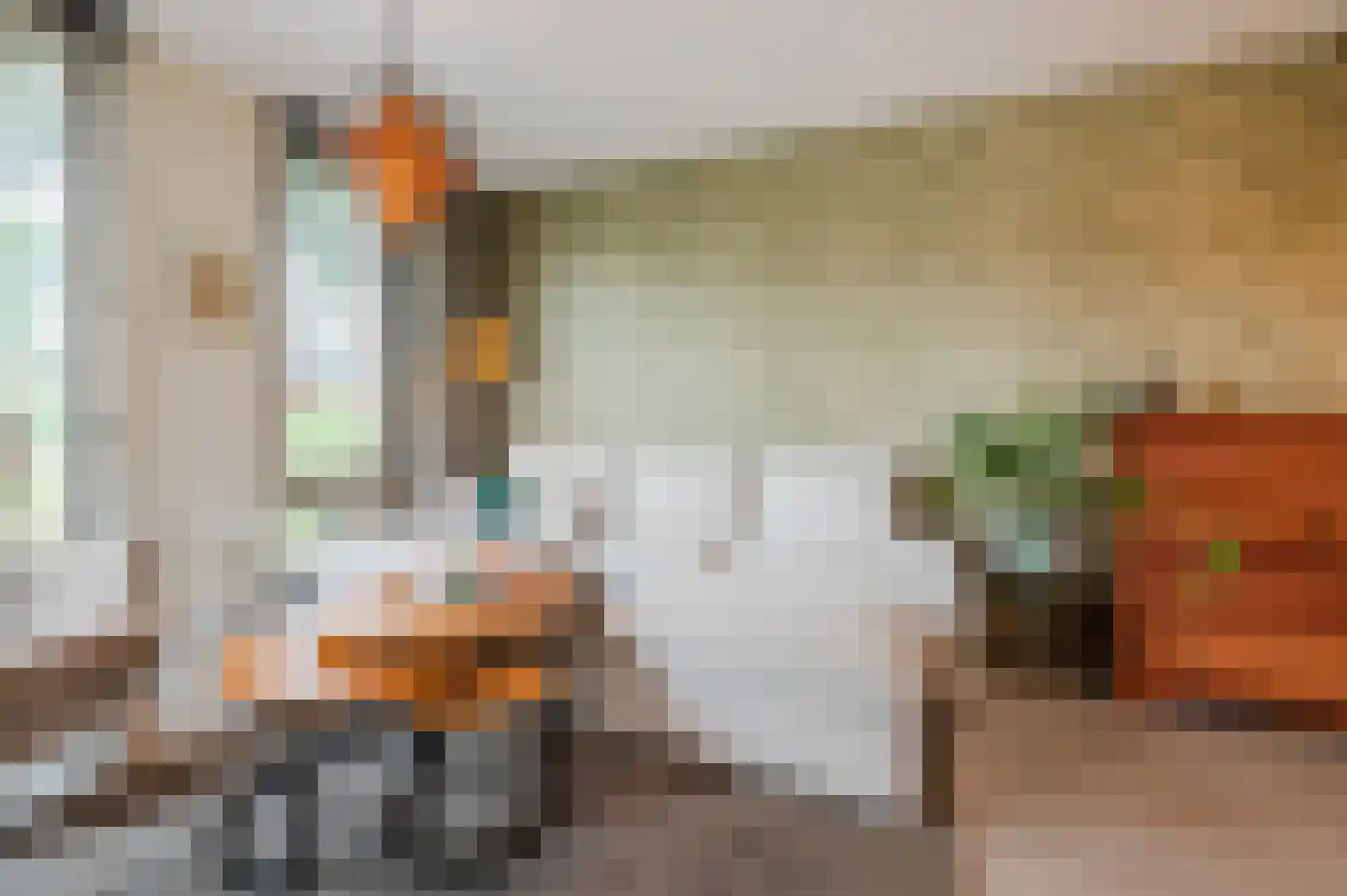 Zilverschoon 38 Veldhoven thumbnail 7