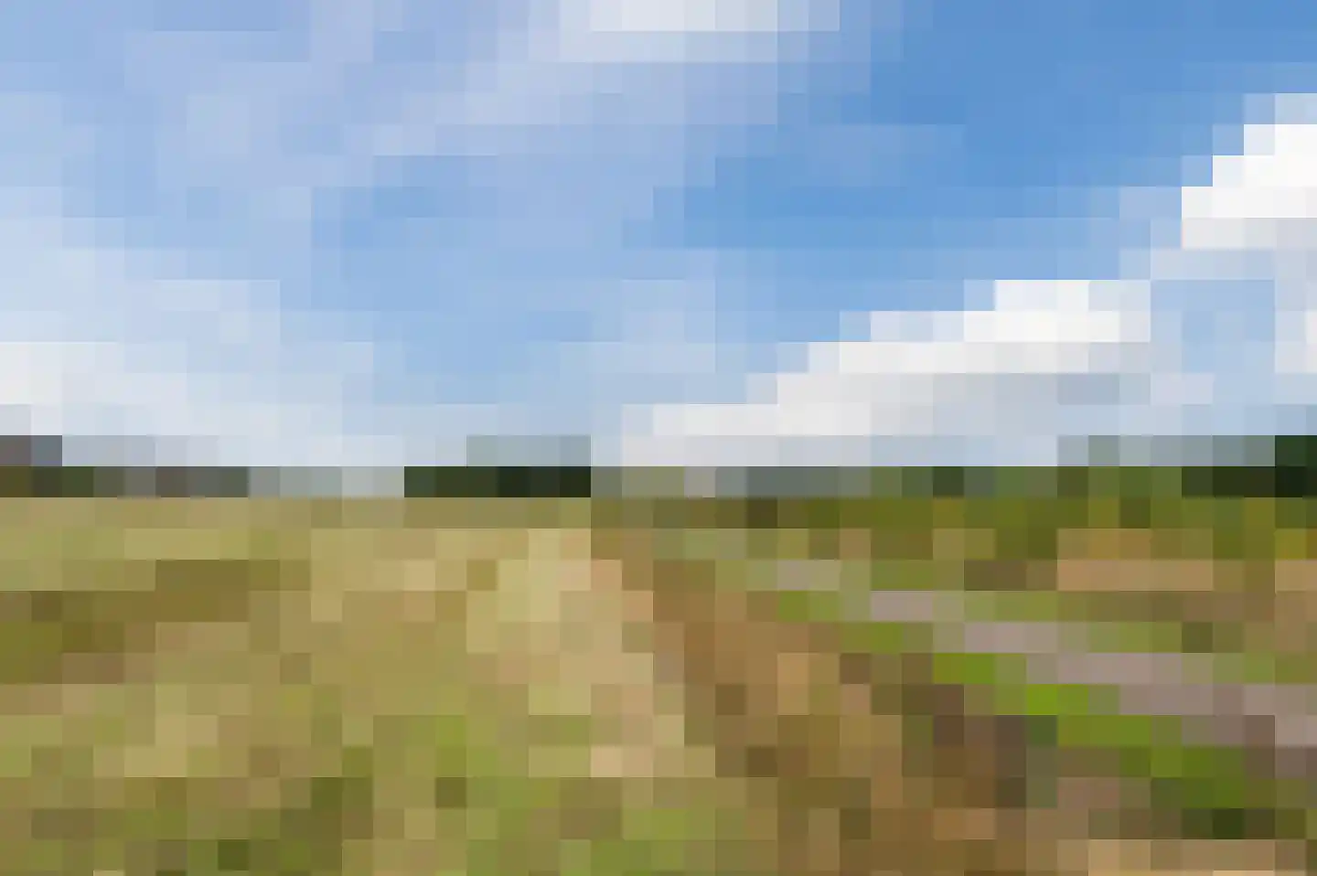 Zilverschoon 38 Veldhoven thumbnail 63