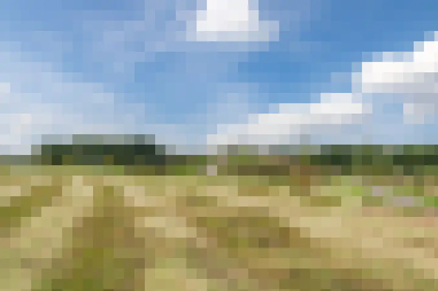 Zilverschoon 38 Veldhoven thumbnail 64