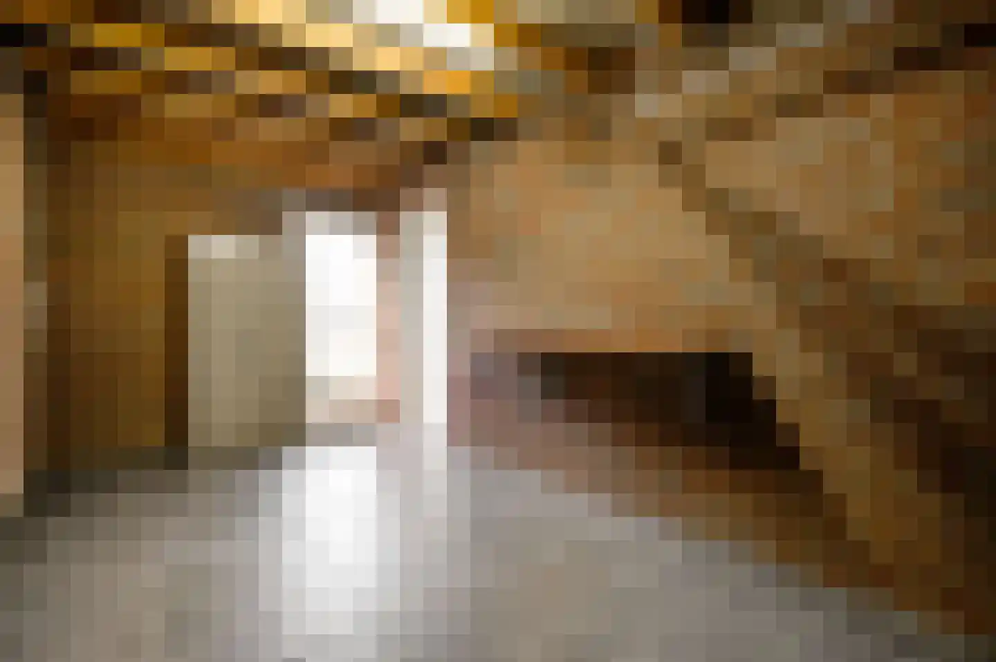 Zilverschoon 40 Sevenum thumbnail 37