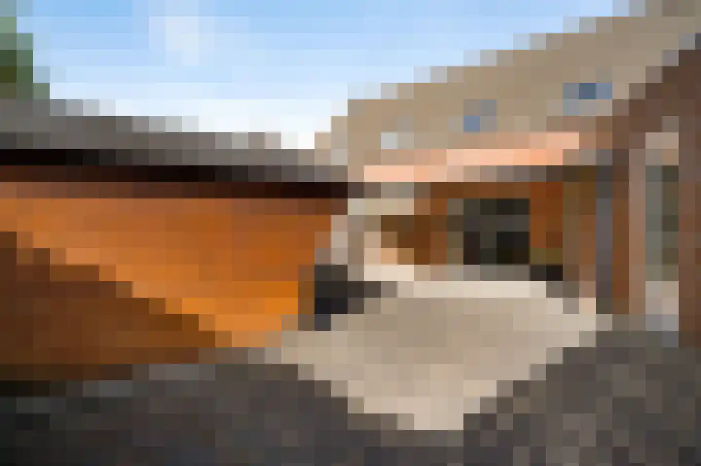 Zilverschoon 40 Sevenum thumbnail 40