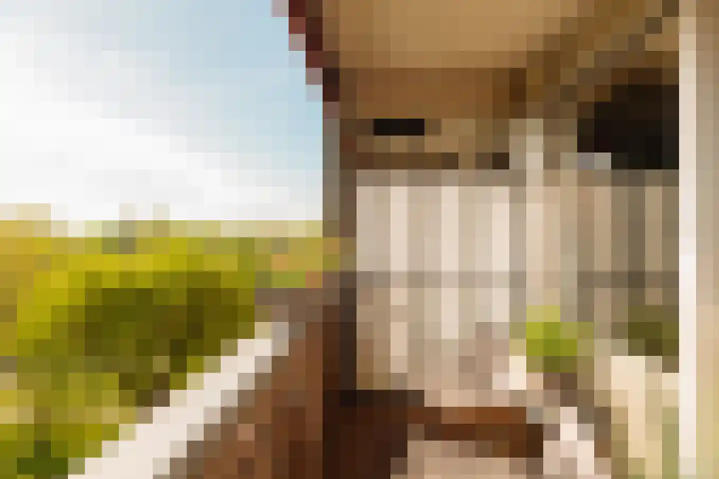 Zilverschoon 41 Uithoorn thumbnail 10