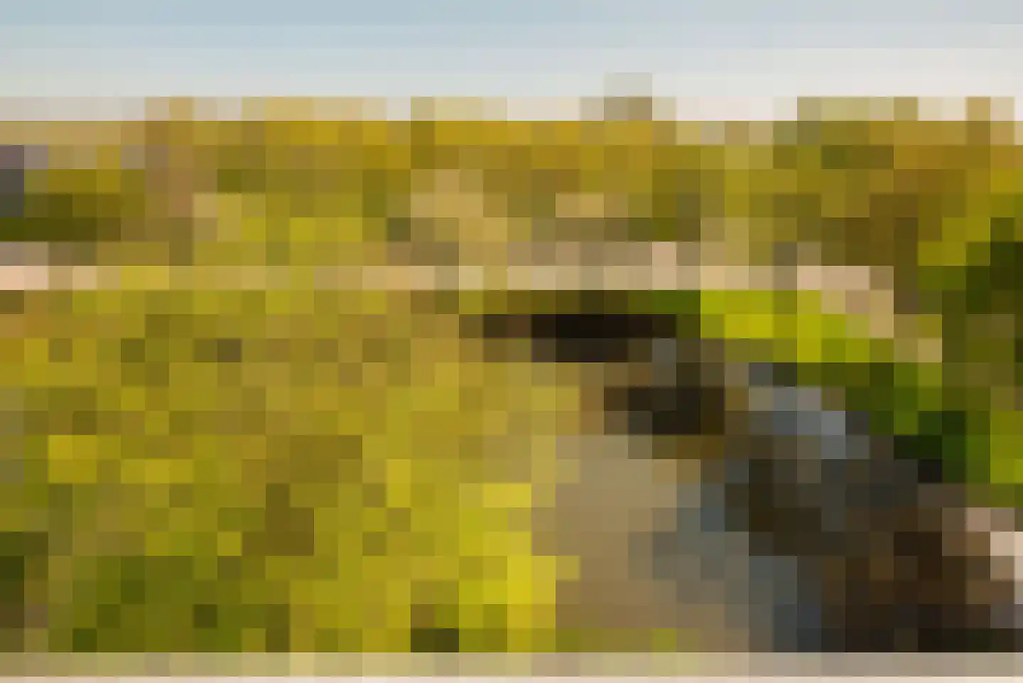 Zilverschoon 41 Uithoorn thumbnail 11