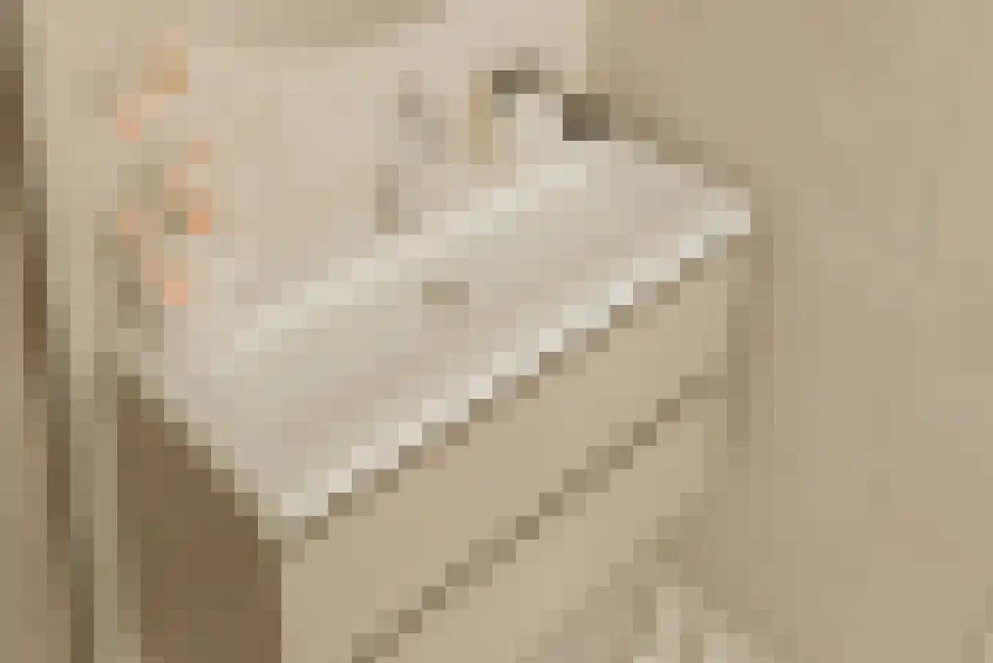 Zilverschoon 41 Uithoorn thumbnail 21