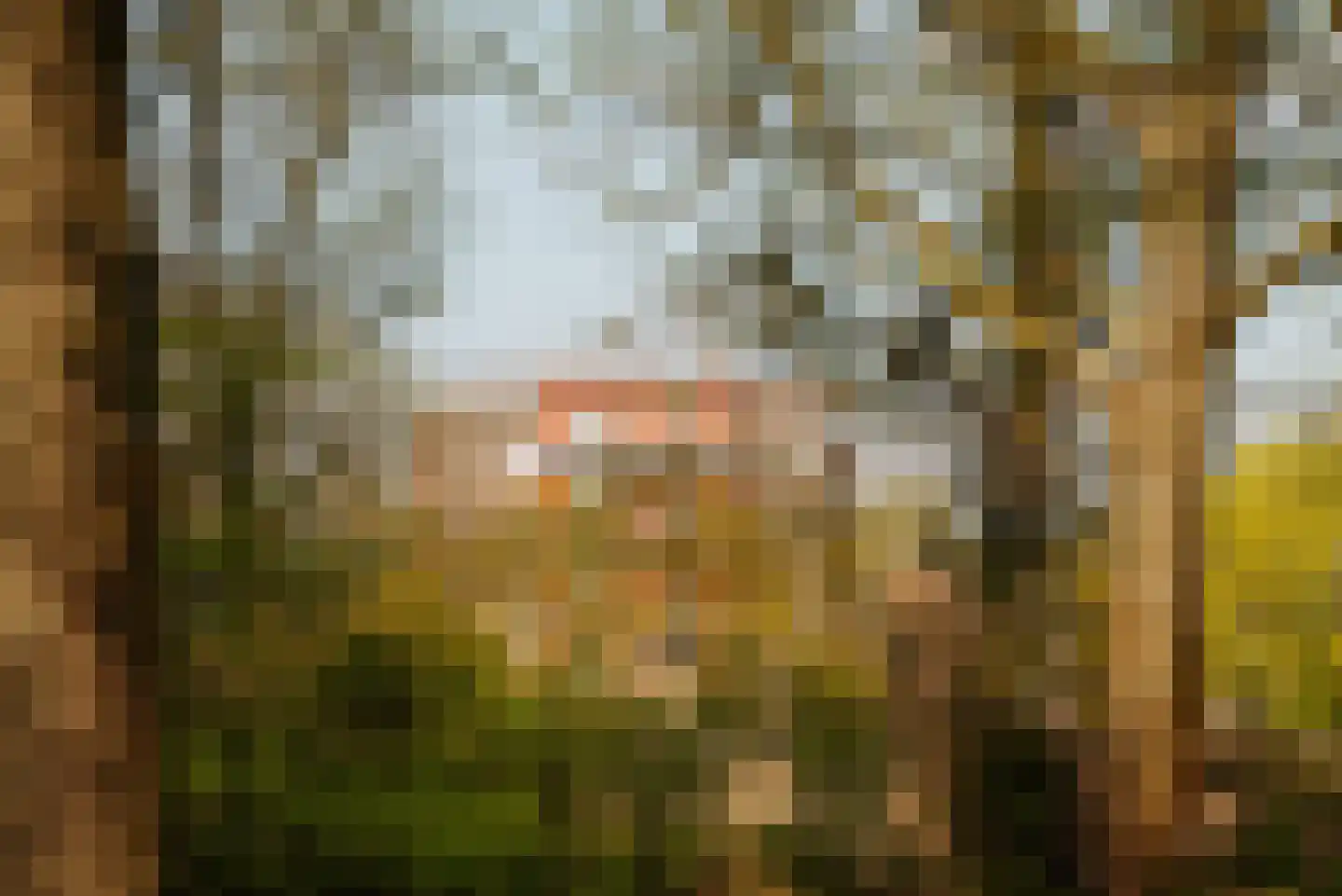 Zilverschoon 41 Uithoorn thumbnail 28