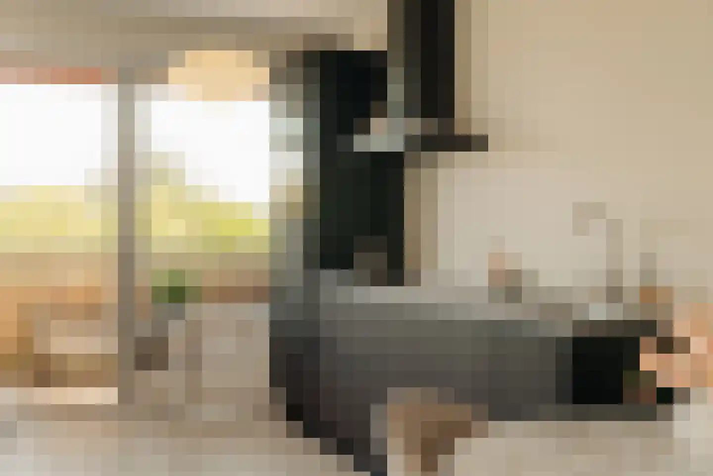Zilverschoon 41 Uithoorn thumbnail 5