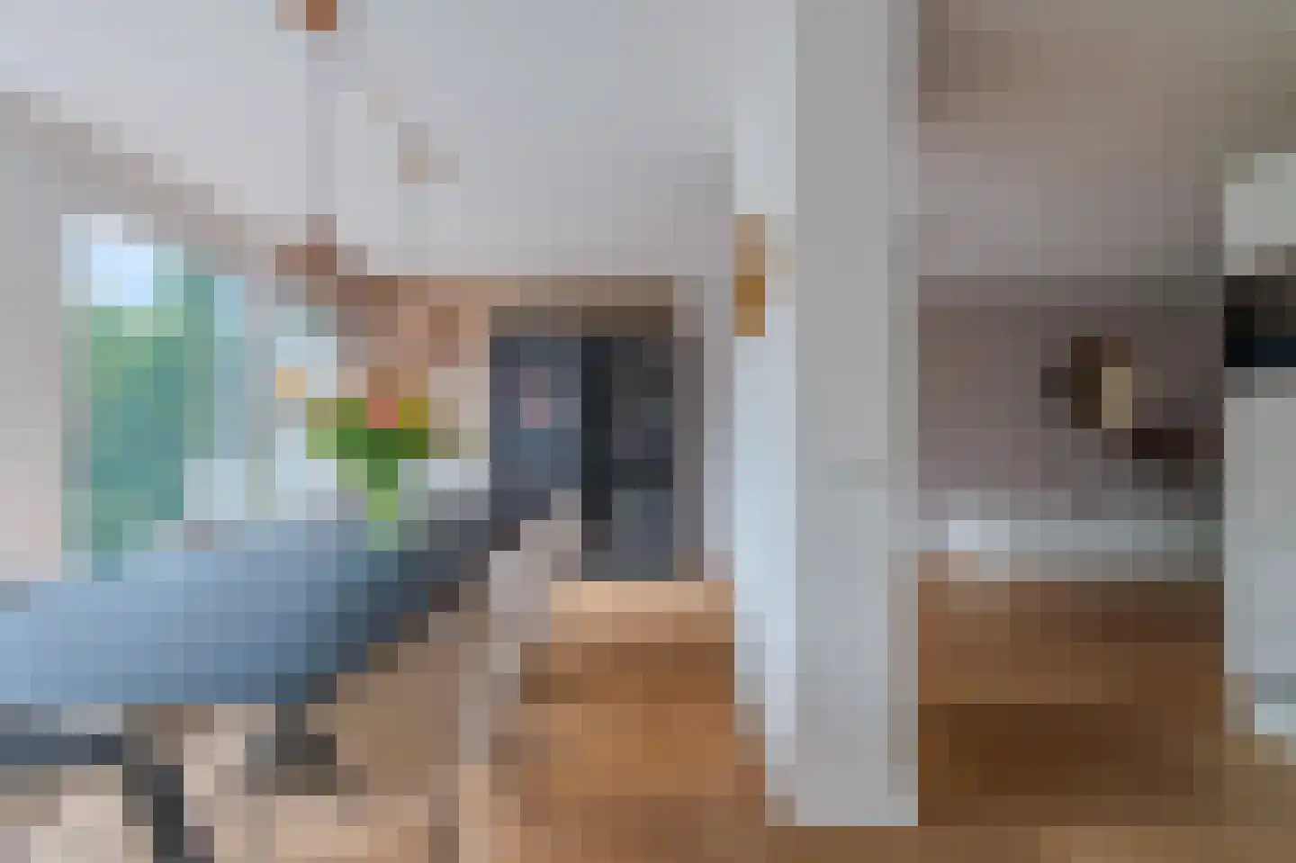 Zilverschoon 41 Venray thumbnail 18