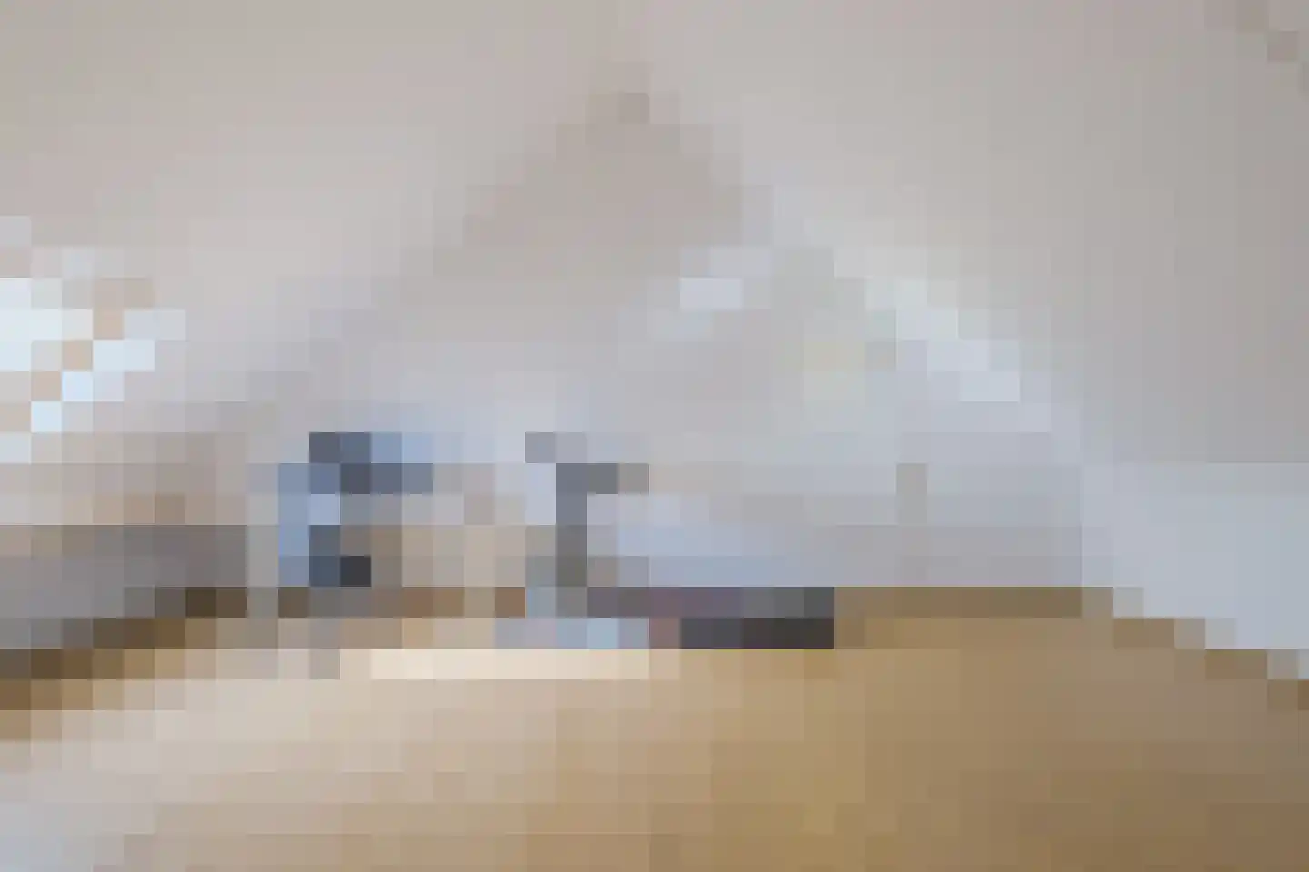 Zilverschoon 41 Venray thumbnail 34