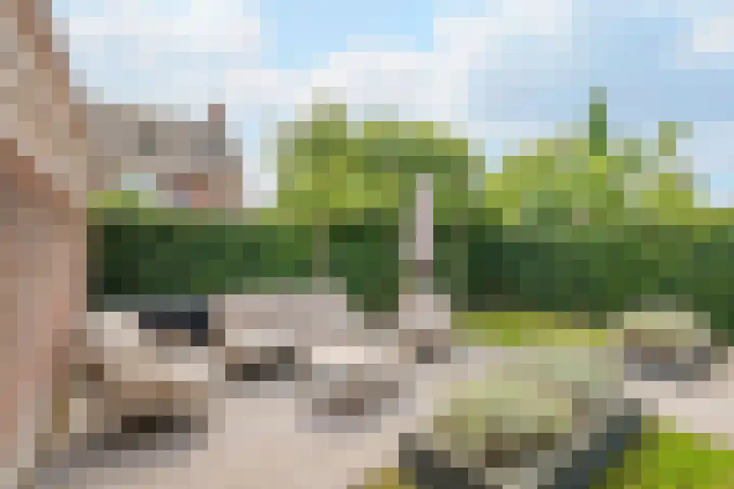 Zilverschoon 41 Venray thumbnail 37