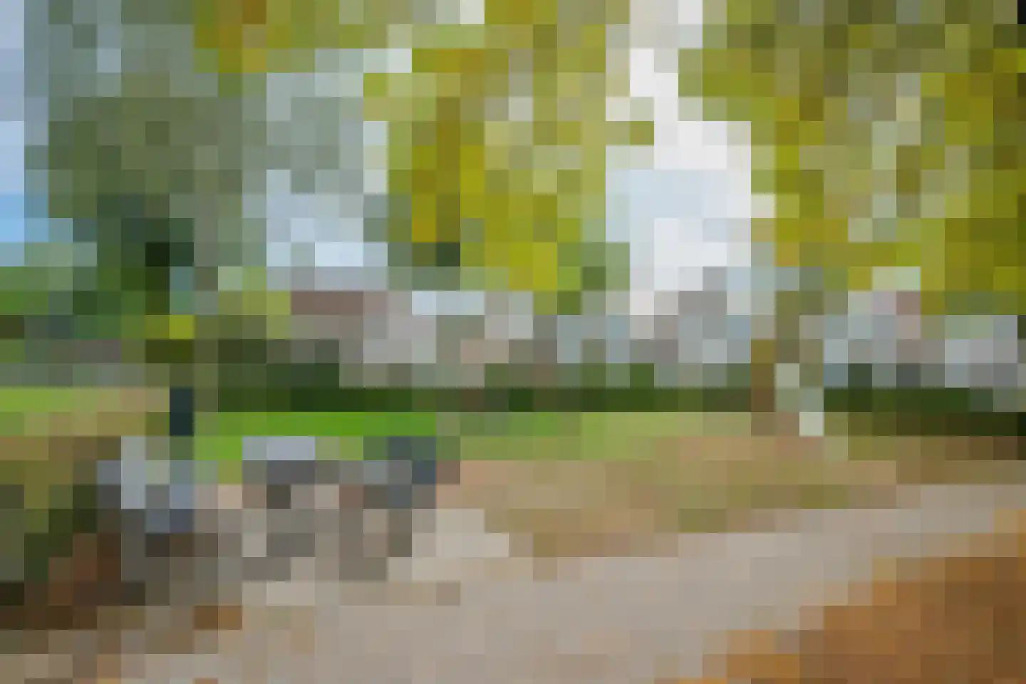 Zilverschoon 41 Venray thumbnail 44