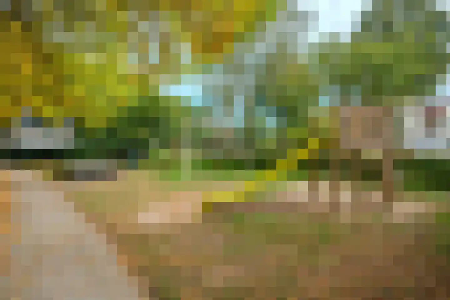Zilverschoon 41 Venray thumbnail 45