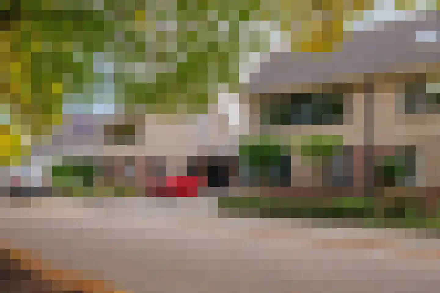 Zilverschoon 41 Venray thumbnail 5