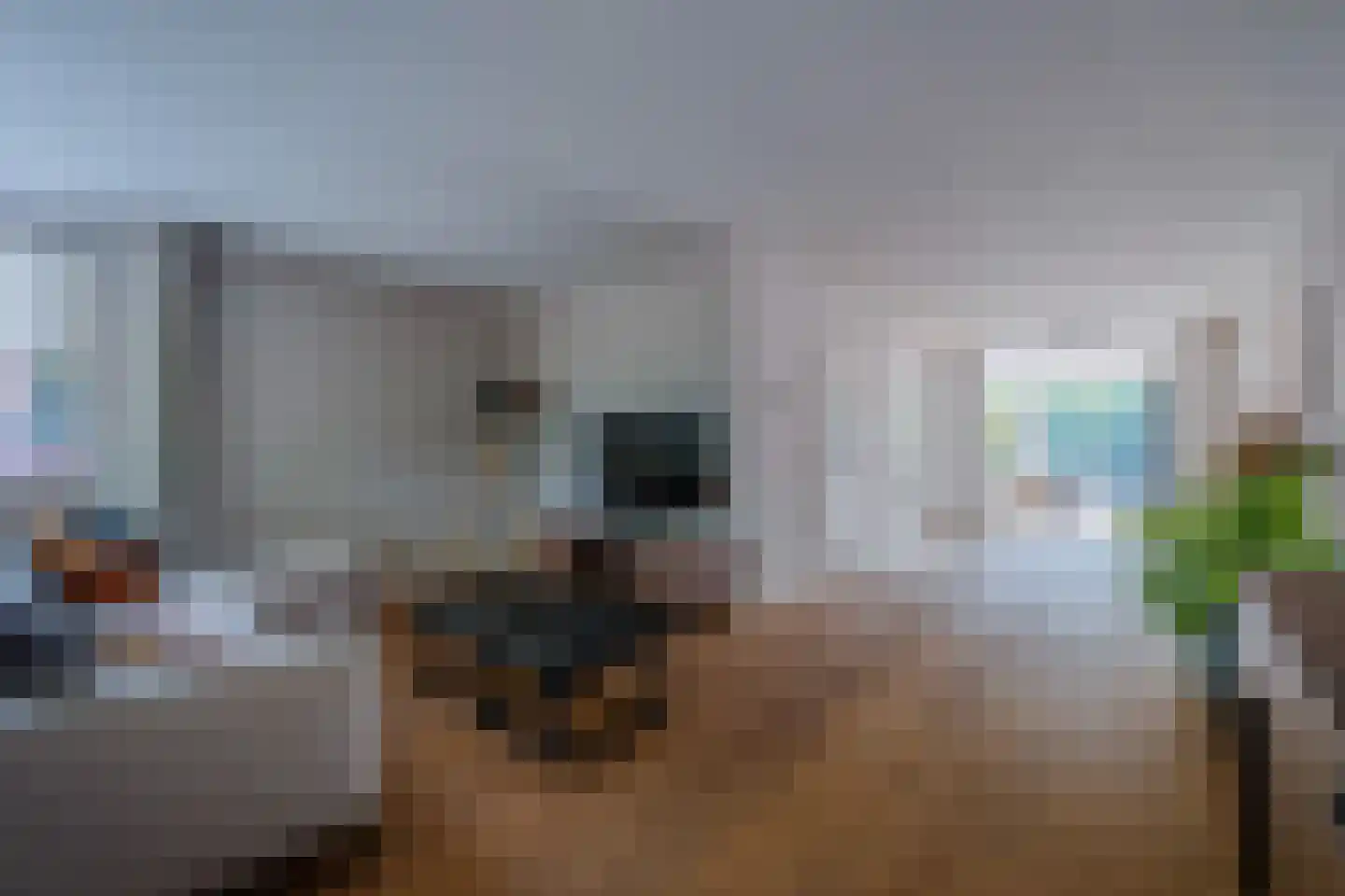 Zilverschoon 41 Venray thumbnail 9