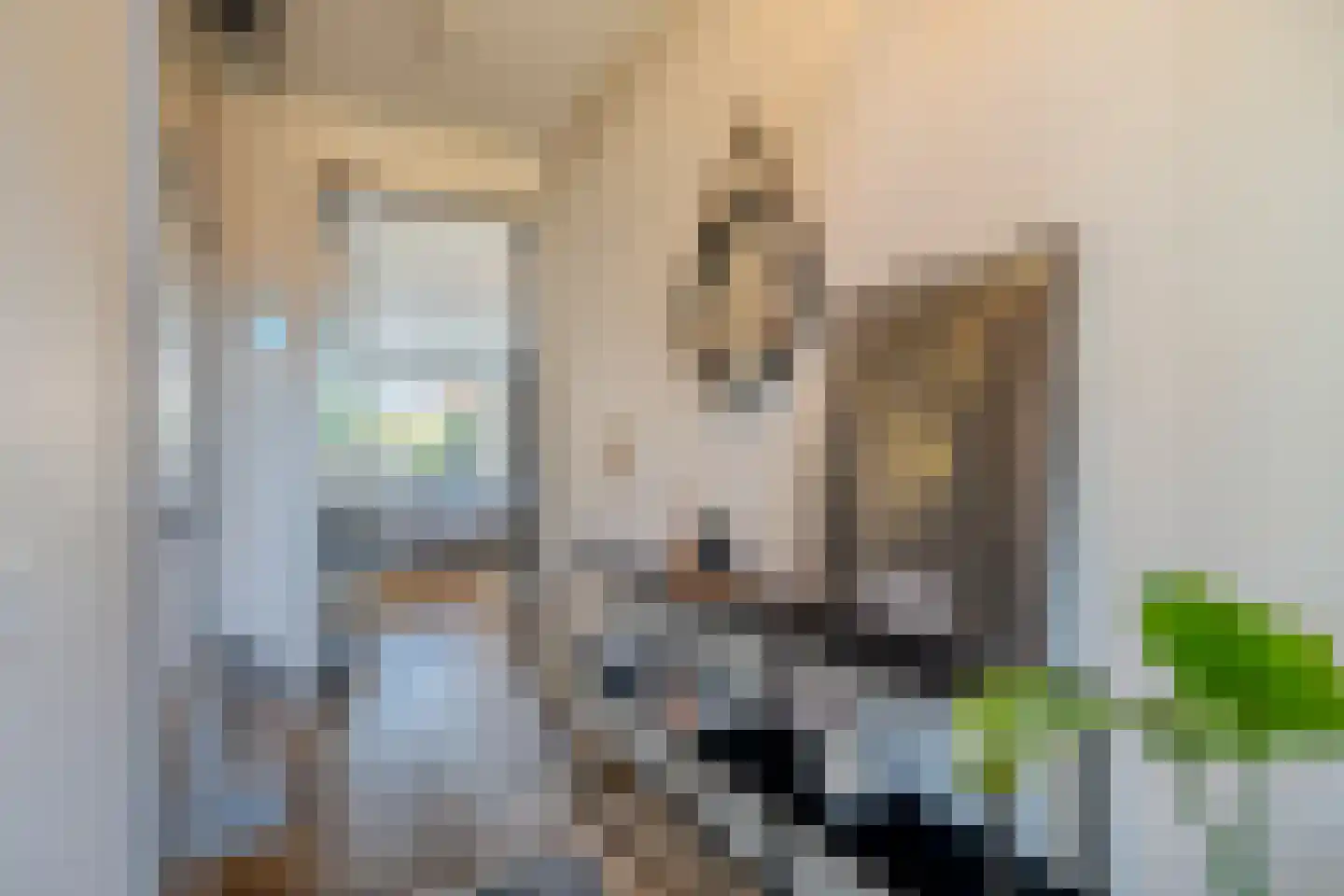 Zilverschoon 42 Bodegraven thumbnail 10