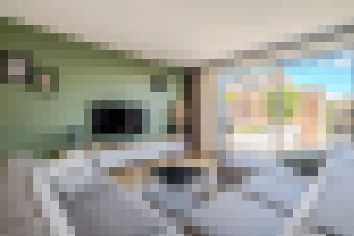 Zilverschoon 42 Bodegraven thumbnail 13