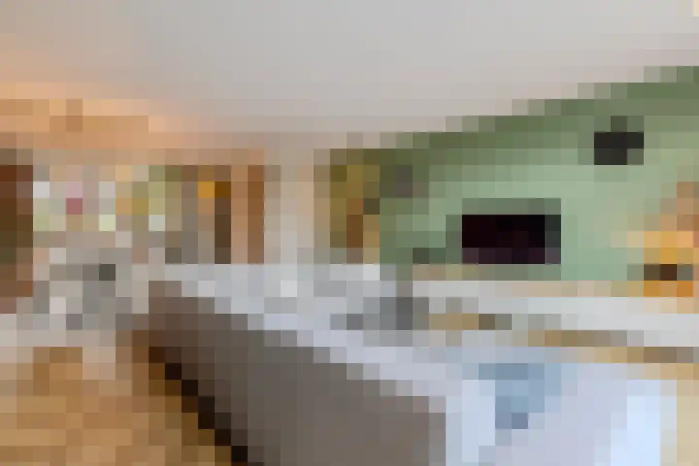 Zilverschoon 42 Bodegraven thumbnail 16