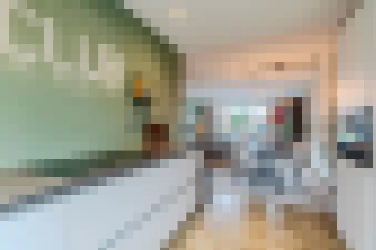 Zilverschoon 42 Bodegraven thumbnail 24