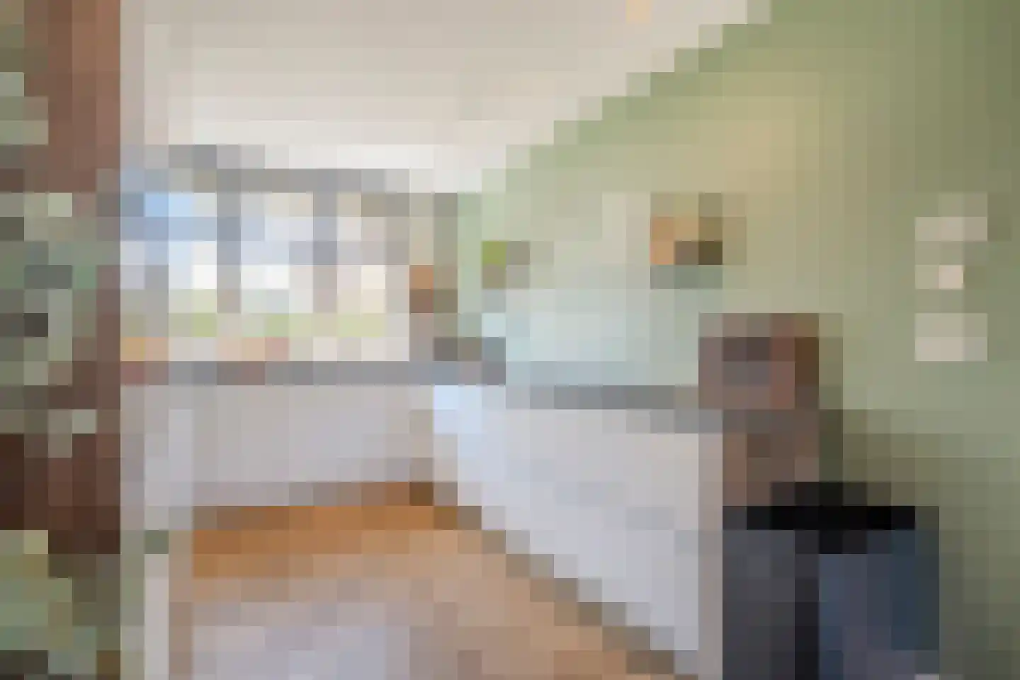 Zilverschoon 42 Bodegraven thumbnail 4