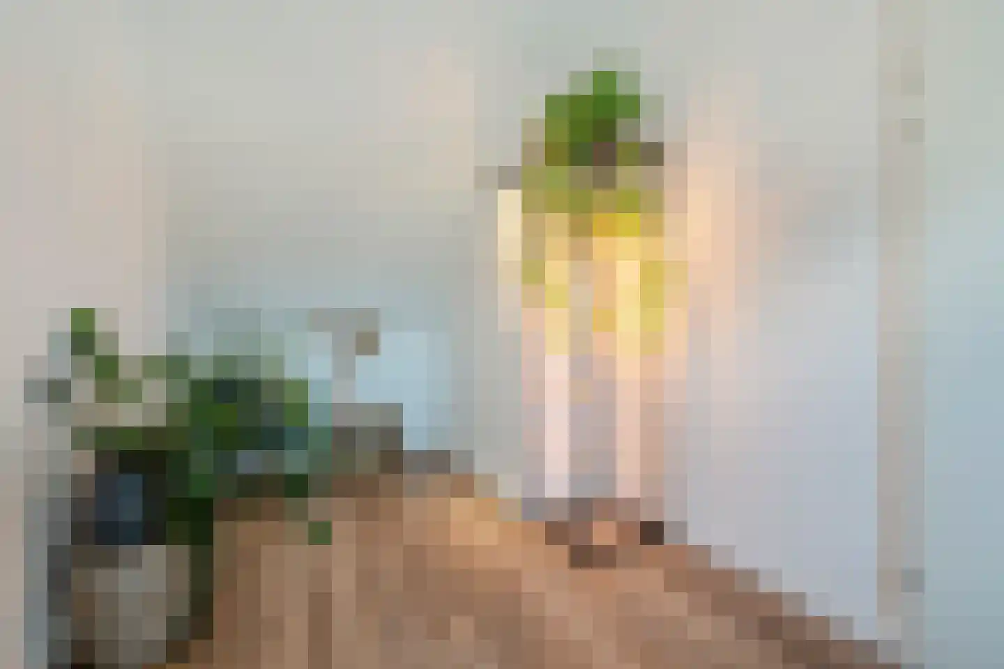 Zilverschoon 42 Bodegraven thumbnail 42