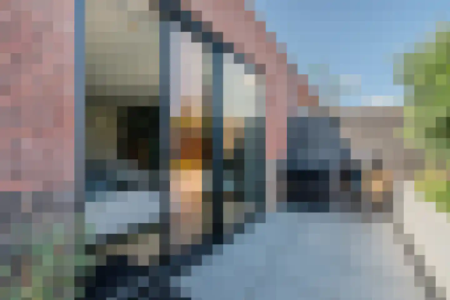 Zilverschoon 42 Bodegraven thumbnail 48