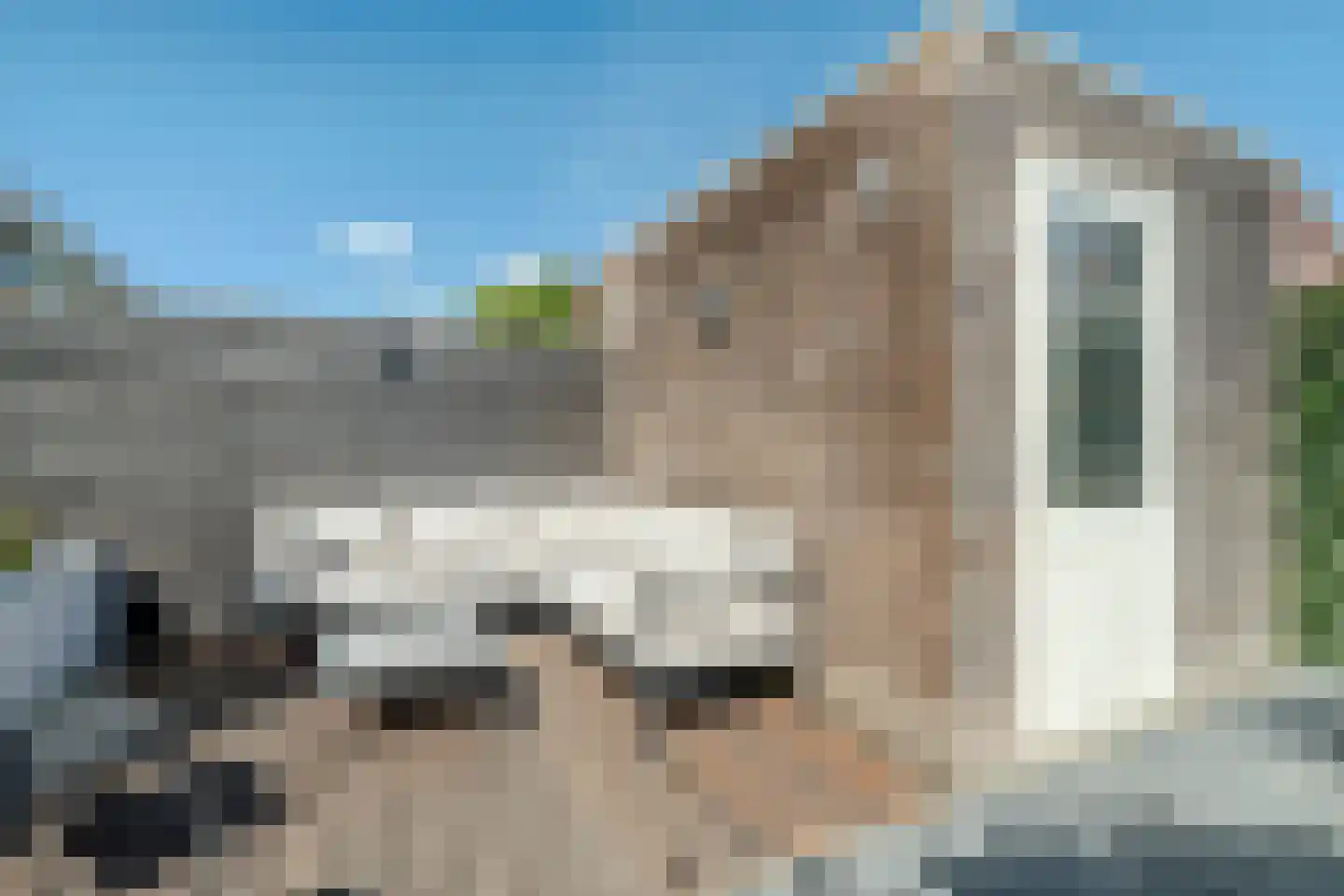 Zilverschoon 42 Bodegraven thumbnail 49