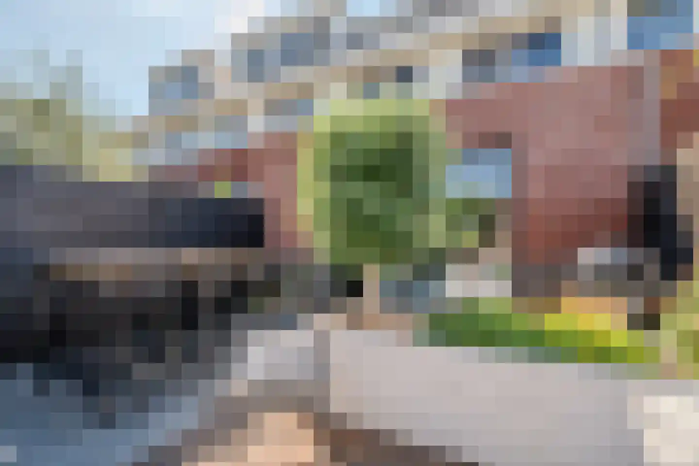 Zilverschoon 42 Bodegraven thumbnail 50