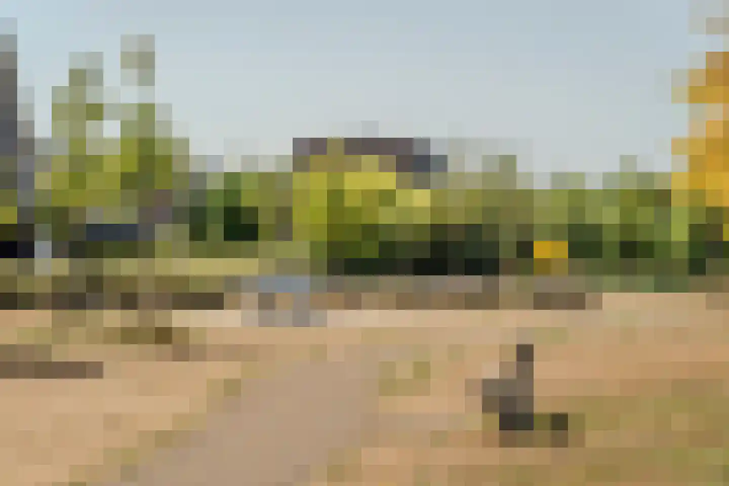 Zilverschoon 42 Bodegraven thumbnail 59