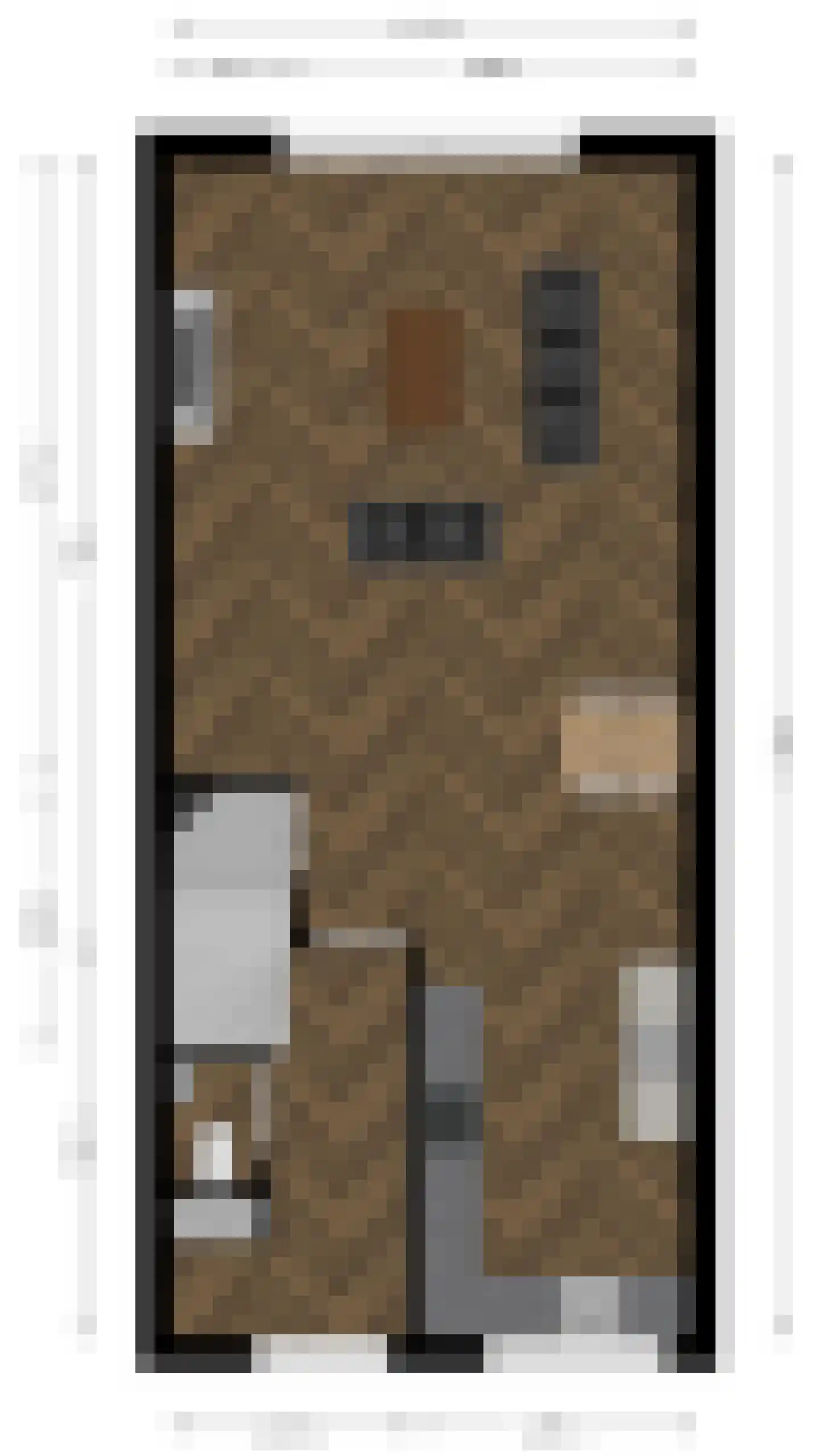 Zilverschoon 42 Bodegraven thumbnail 60