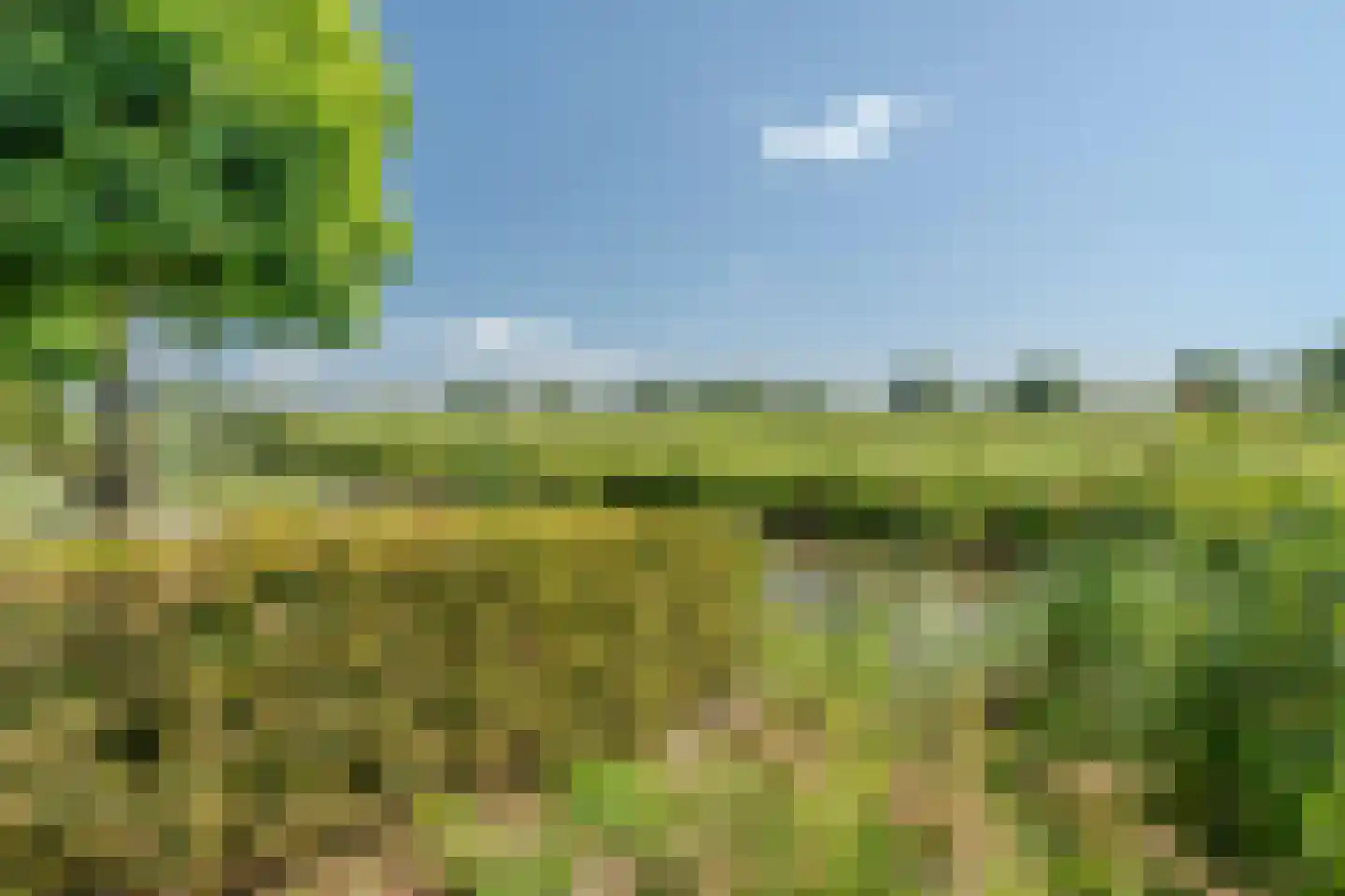 Zilverschoon 42 Bodegraven thumbnail 8