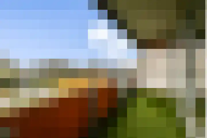 Zilverschoon 42 Uithoorn thumbnail 11