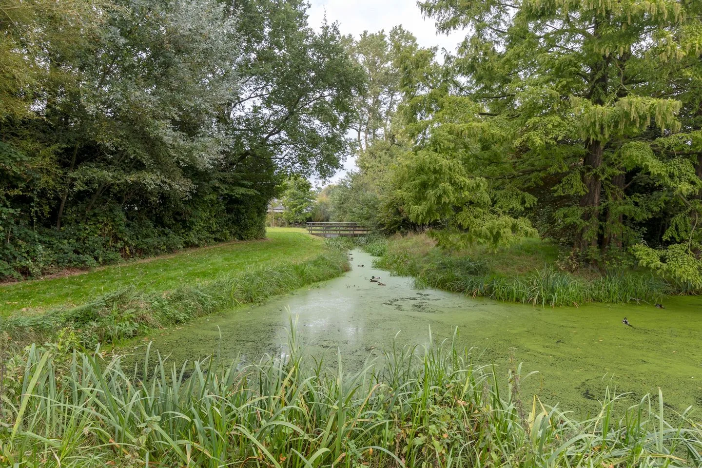 Zilverschoon 43 Zuidhorn thumbnail 52