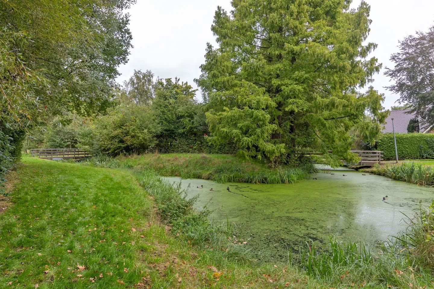 Zilverschoon 43 Zuidhorn thumbnail 53