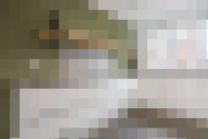 Zilverschoon 44 Bodegraven thumbnail 18