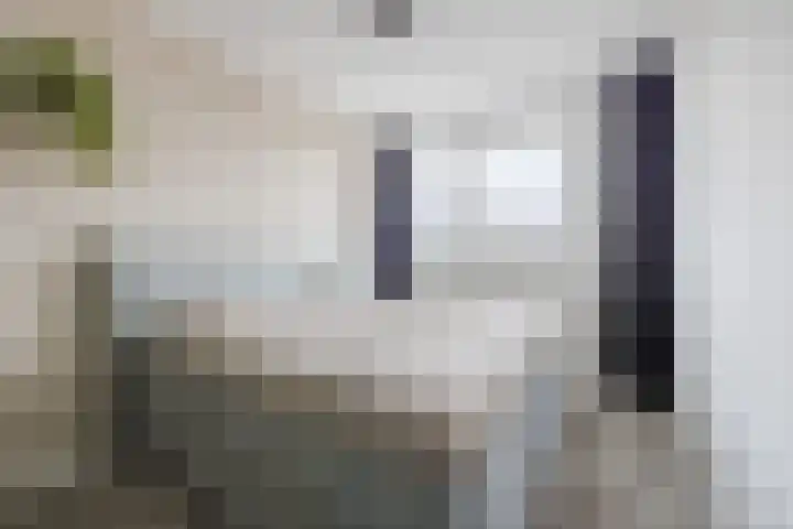 Zilverschoon 44 Bodegraven thumbnail 24