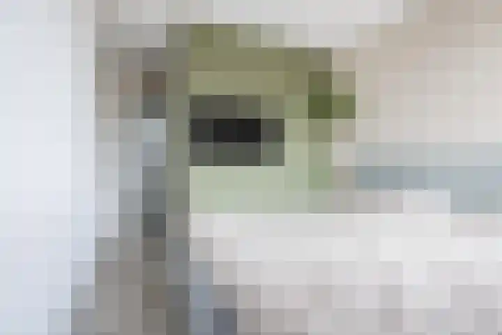 Zilverschoon 44 Bodegraven thumbnail 25