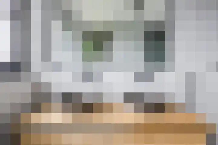 Zilverschoon 44 Bodegraven thumbnail 33