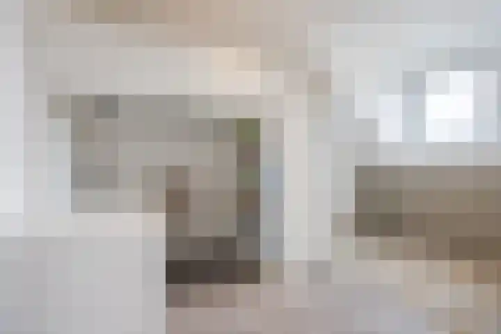 Zilverschoon 44 Bodegraven thumbnail 37