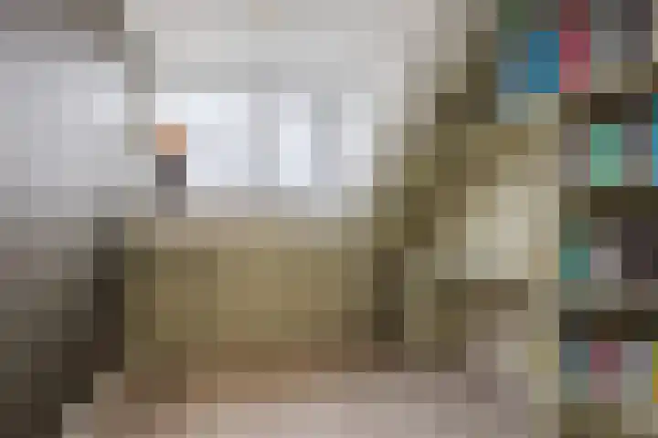 Zilverschoon 44 Bodegraven thumbnail 39