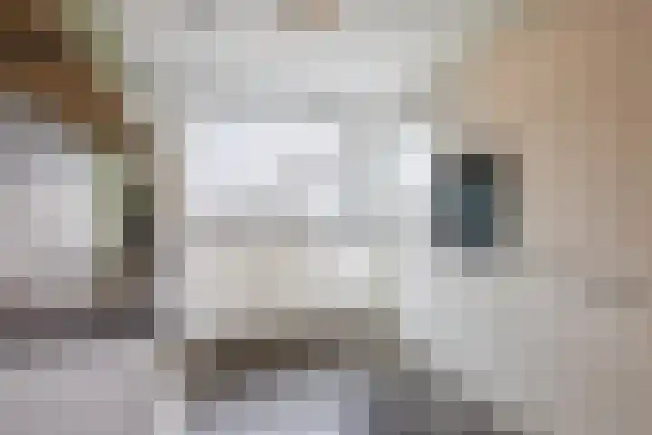Zilverschoon 44 Bodegraven thumbnail 4