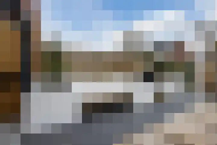 Zilverschoon 44 Bodegraven thumbnail 46