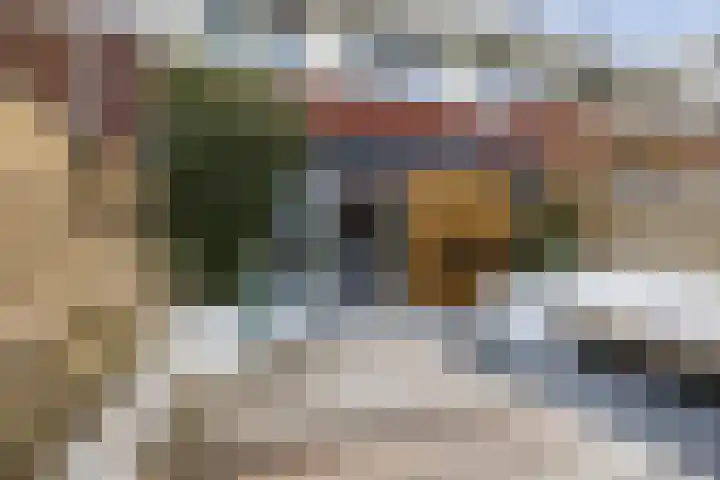 Zilverschoon 44 Bodegraven thumbnail 47