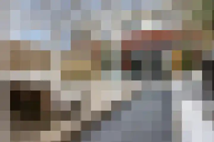 Zilverschoon 44 Bodegraven thumbnail 48