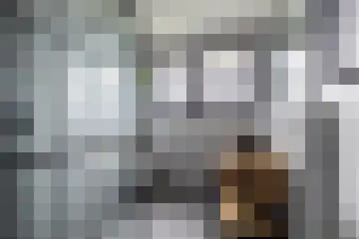Zilverschoon 44 Bodegraven thumbnail 5