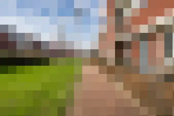 Zilverschoon 44 Bodegraven thumbnail 51