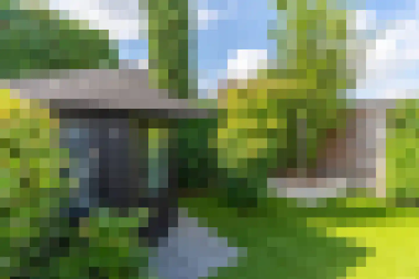 Zilverschoon 45 Venray thumbnail 12