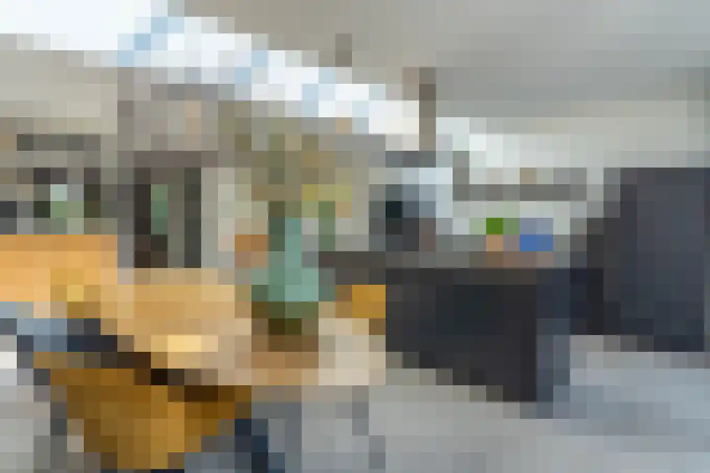 Zilverschoon 45 Venray thumbnail 17