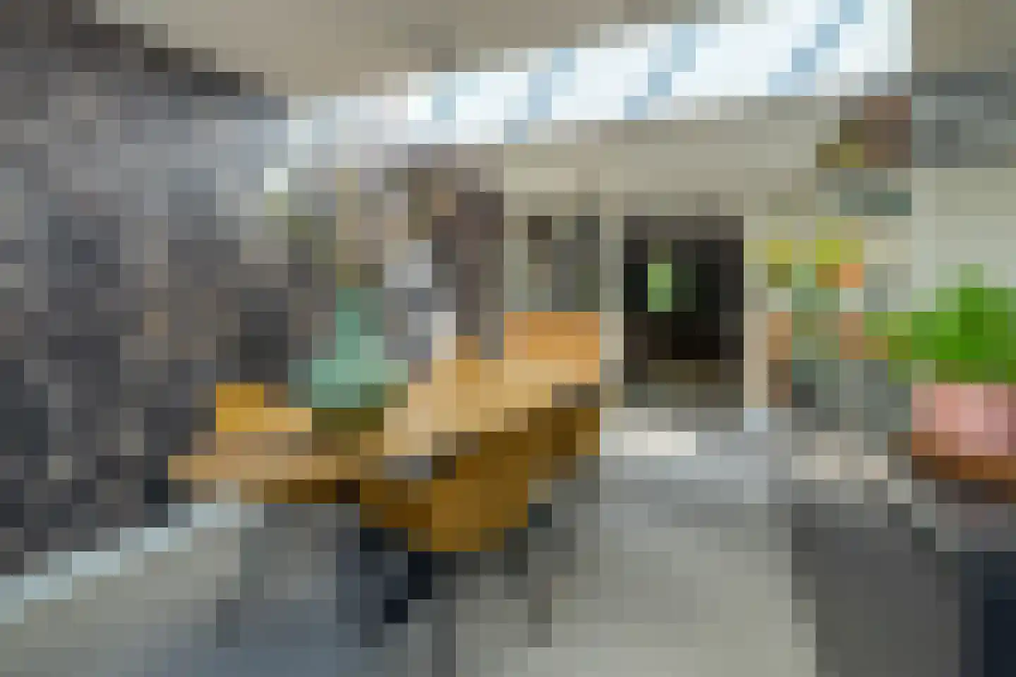 Zilverschoon 45 Venray thumbnail 18