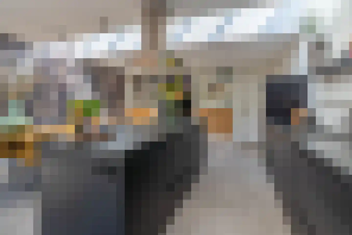 Zilverschoon 45 Venray thumbnail 19